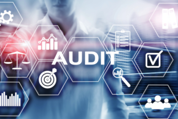 The Role of Auditing in Building Investor Confidence